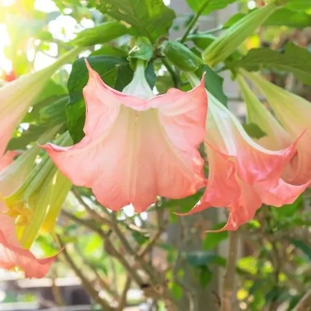 Self Check-in Spacious In A Quiet Area アパート