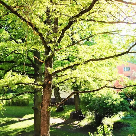 アパート Self Check-in Spacious In A Quiet Area リガ