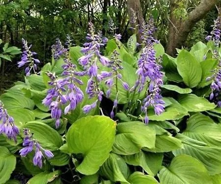 Self Check-in Spacious In A Quiet Area *