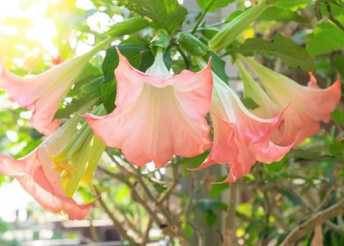 Self Check-in Spacious In A Quiet Area Dzīvoklis