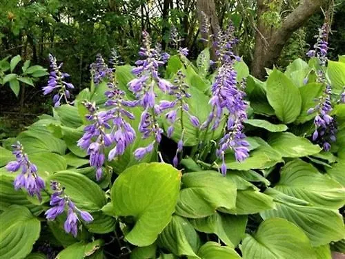 Self Check-in Spacious In A Quiet Area *