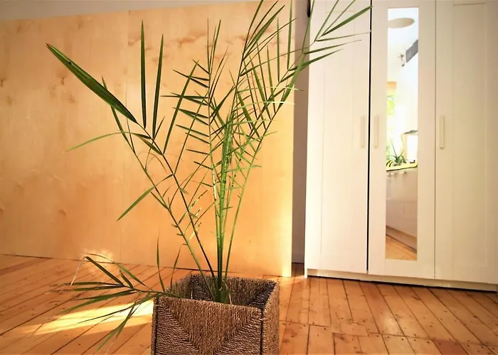 Self Check-in Spacious In A Quiet Area Dzīvoklis