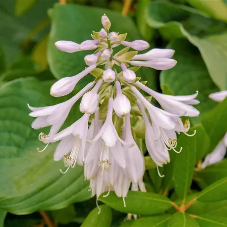 Self Check-in Spacious In A Quiet Area