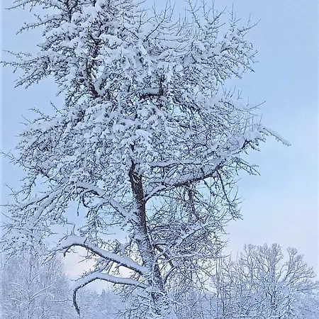 Apartamento Self Check-in Spacious In A Quiet Area *