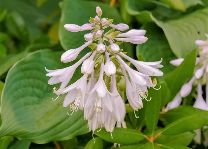 Self Check-in Spacious In A Quiet Area