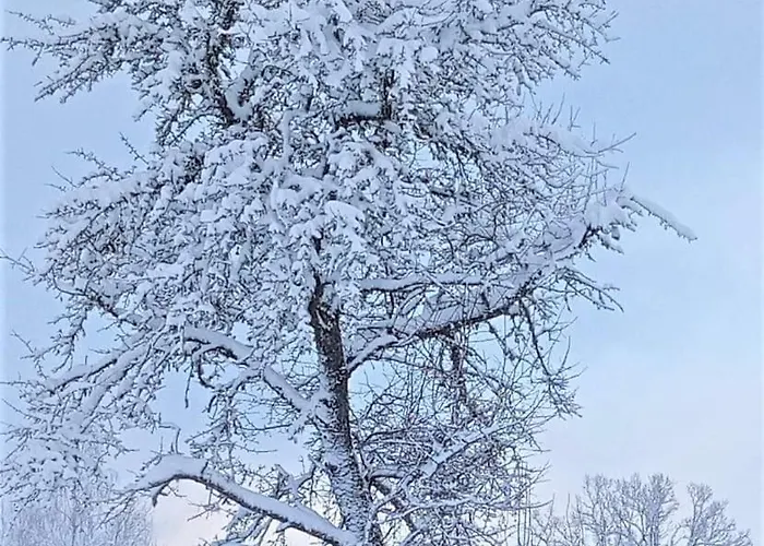 Διαμέρισμα Self Check-in Spacious In A Quiet Area *