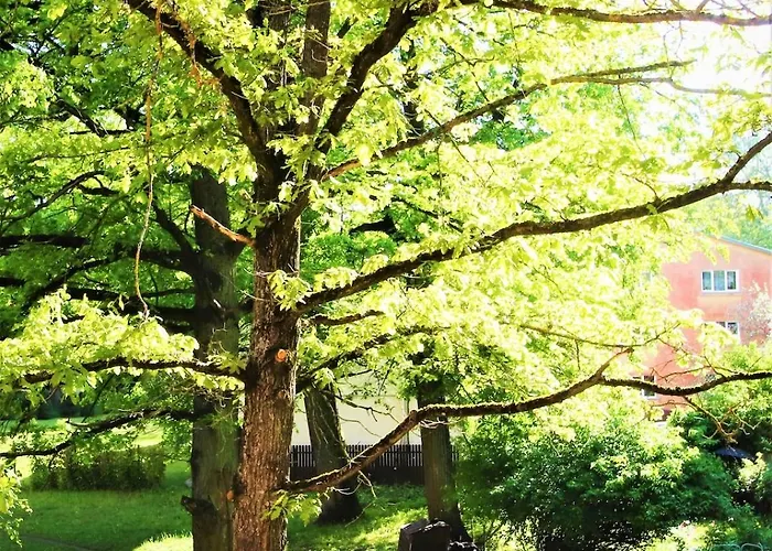 Διαμέρισμα Self Check-in Spacious In A Quiet Area Ρίγα