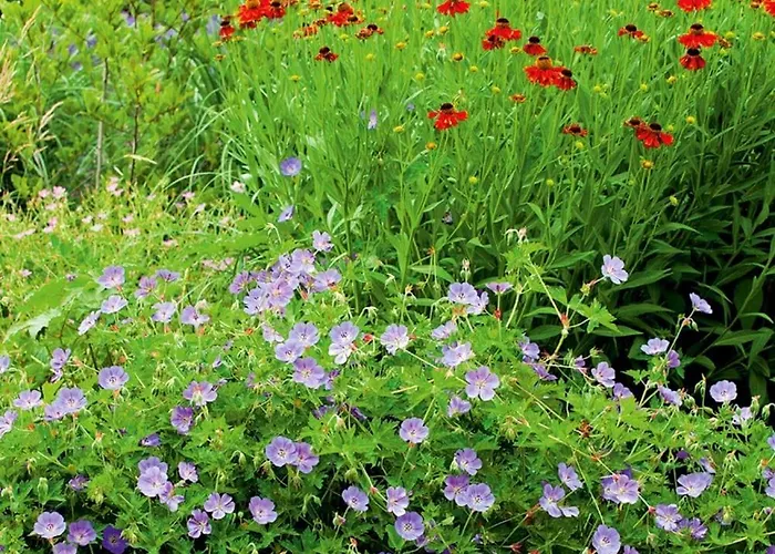 Self Check-in Spacious In A Quiet Area
